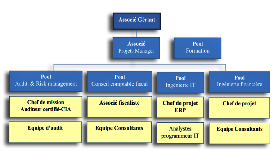 Organigramme Entreprise